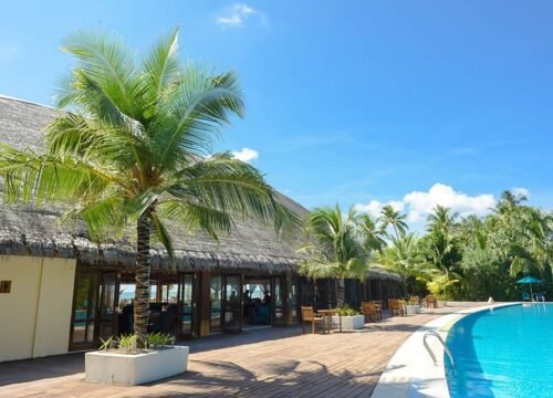 Canada tourism freeze US destinations: 2026 Trends